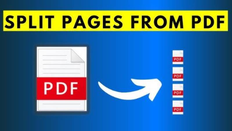 Secure And Watermark Free JPG To PDF Conversion